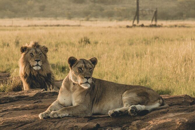 6 Day Group Camping Safari Tarangire Serengeti Ngorongoro Manyara - Who this safari suits best (and who might want a different style)