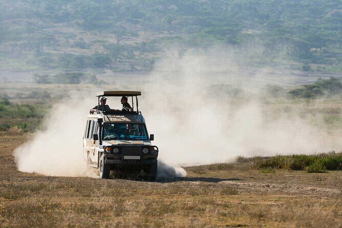 6-Day Honeymoon Safari Tour Package in Tanzania - Day 1: Arusha arrival, briefings, and getting your bearings fast