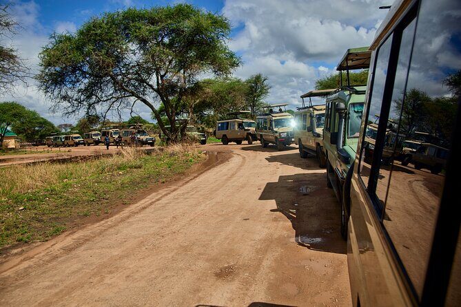 6-Day Luxury Tanzania Premium Safari - A full Serengeti day: migration rhythm and predator watch