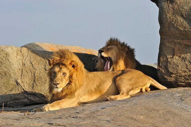 6 Day: Magnificent Wildlife Adventure - Key things I’d pay attention to