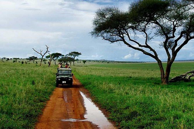 6 Day: Magnificent Wildlife Adventure - Ngorongoro Crater: sunrise energy, then a second crater morning