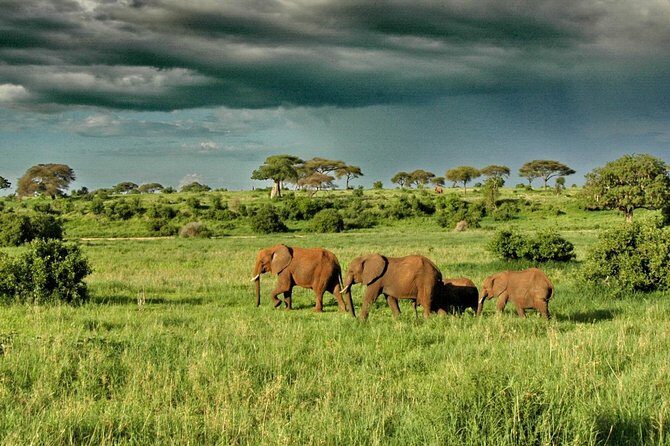 6 Day: Magnificent Wildlife Adventure - Guides, communication, and why names matter (Anita, Joseph, Lucus, Freddy)