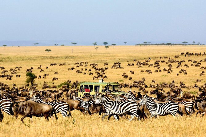 6 Day: Magnificent Wildlife Adventure - Serengeti National Park: endless plains and the migration story
