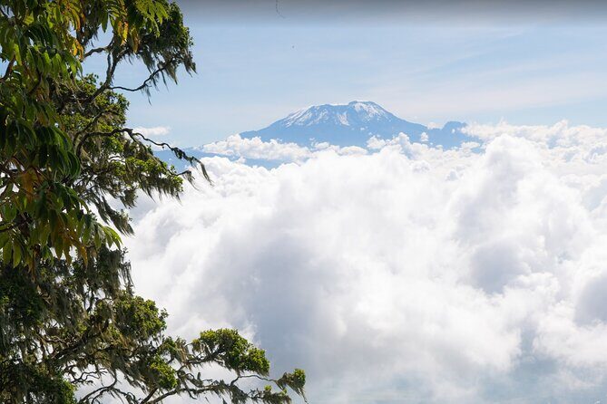 6-Day Mount Meru Climb through Momella Route Guided Tour - Day 3: Saddle ridge ascents, Meru crater views, and Little Meru acclimatization