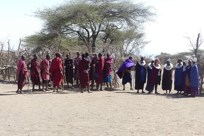 6-Day Northern Safari - Why the Northern Circuit works: Tarangire, Serengeti, Ngorongoro in one flow