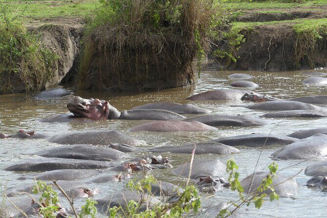 6-Day Northern Safari - Karatu and the return to Arusha: the calm ending
