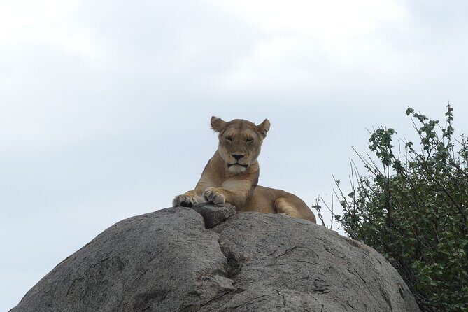6-Day Northern Safari - What’s included (and why it changes the value)