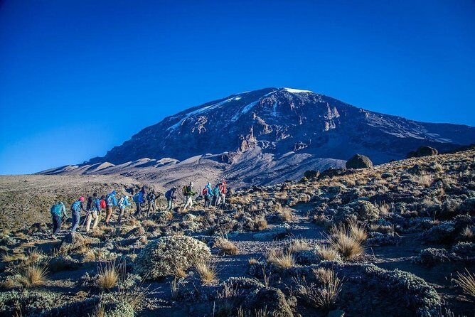 6-Day Rongai Route Trek in Mount Kilimanjaro - Day 1: Rongai Gate to Nale Moru (the first slow climb with rainforest drama)