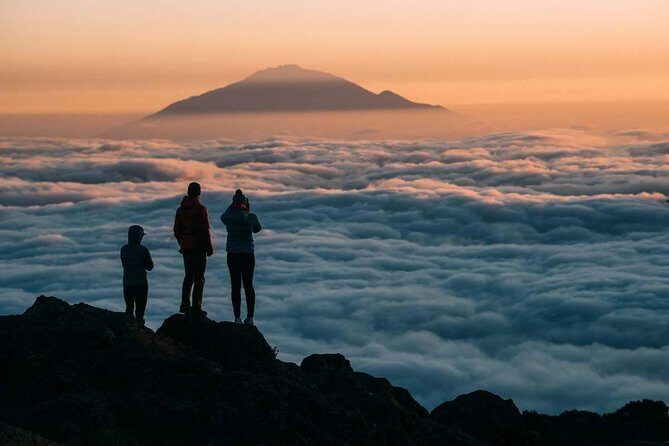 6-Day Rongai Route Trek in Mount Kilimanjaro - Day 5: midnight wake-up to Gilman’s Point and Uhuru Peak, then down to Horombo