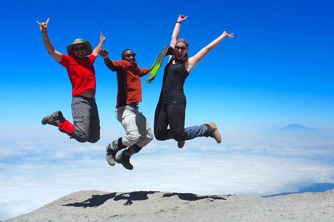 6-Day Rongai Route Trek in Mount Kilimanjaro - Day 6: the long descent to Marangu Park Gate through lush forest