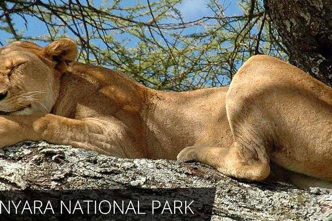 6 Day Serengeti wildebeest migration Camping Safari - How This 6-Day Route Fits Four Parks Without Wasting Your Days