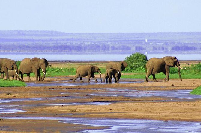 6 Day Serengeti wildebeest migration Camping Safari - Serengeti Day 3: Leaving the Rift Valley for the Endless Plains (and the Migration Clock)