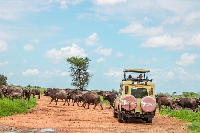 6 Day Serengeti wildebeest migration Camping Safari - Lake Manyara and Ngare Sero: Rift Valley Drive, Flamingo Glows, and a Maasai Waterfall Walk