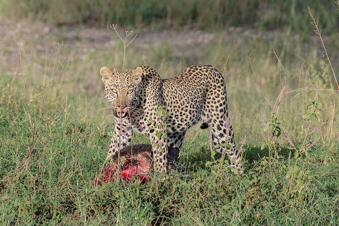 6-Day Tanzania Adventures Safaris - Group Joining Camping Safaris - Tarangire National Park: elephants, baobabs, and seasonal swamps