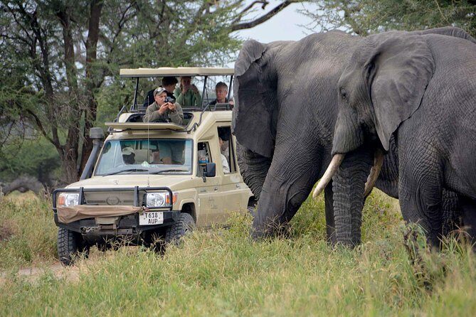 6-Day Tanzania Camping Safari: Lake Manyara, Serengeti, Ngorongoro Cater and Tarangire National Park from Arusha - Arusha Pickup and the 4WD Camping Safari Rhythm