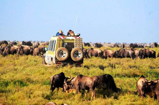 6-Day Tanzania Camping Safari: Lake Manyara, Serengeti, Ngorongoro Cater and Tarangire National Park from Arusha - Serengeti National Park: Two Styles of Game Drive Time