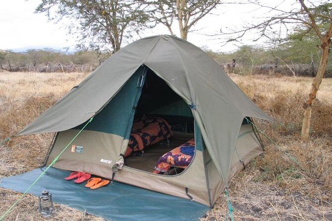 6-Day Tanzania Camping Safari: Lake Manyara, Serengeti, Ngorongoro Cater and Tarangire National Park from Arusha - Ngorongoro Crater Rim to Crater: Early Start With Brunch and a Full Day