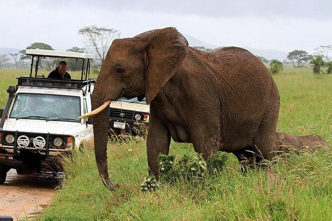 6-Day Tanzania Camping Safari: Lake Manyara, Serengeti, Ngorongoro Cater and Tarangire National Park from Arusha - Lake Manyara: Crater-Floor Driving and Hippo Pool Picnic