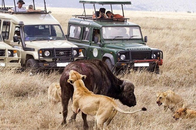 6-Day Tanzania Camping Safari: Lake Manyara, Serengeti, Ngorongoro Cater and Tarangire National Park from Arusha - Camping Safari Value: What’s Included and What You Must Bring