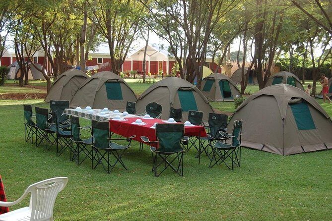 6-Day Tanzania Camping Safari: Lake Manyara, Serengeti, Ngorongoro Cater and Tarangire National Park from Arusha - Who This Safari Fits Best (and Who Might Want a Different Style)