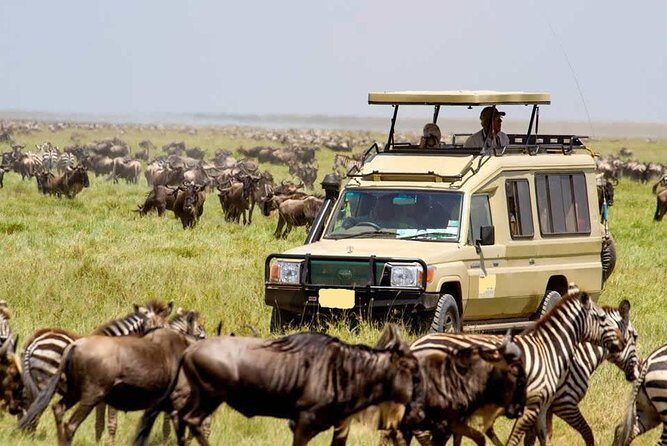 6-Day Tanzania Camping Safari: Lake Manyara, Serengeti, Ngorongoro Cater and Tarangire National Park from Arusha - Should You Book This 6-Day Camping Safari?