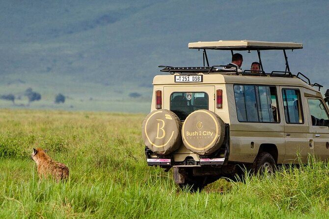 6-Day Tanzania Safari Experience – Midrange - Kilimanjaro Airport to Arusha: Villa Maua Boutique Hotel First Night