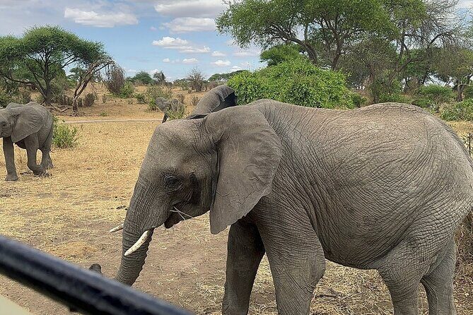 6 -Day Tarangire, Manyara, Serengeti & Ngorongoro - Six Parks, Four Ecosystems: Why This Route Works