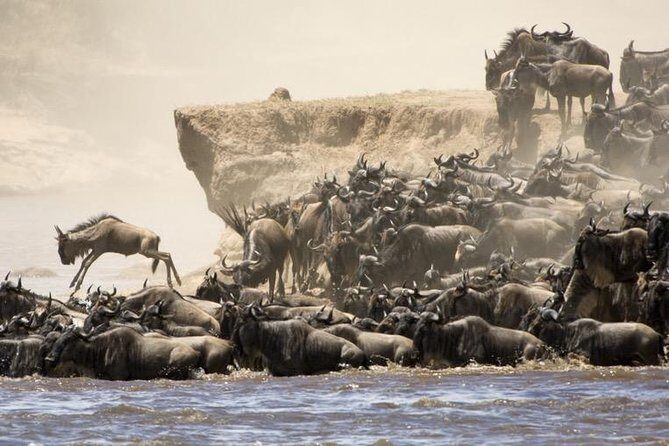 6 Days 5 Nights lodge safari Tarangire, Manyara, Serengeti & Ngorongoro Crater - Why This 6-Day Route Feels Like the Real Tanzania