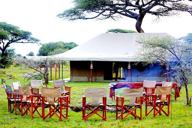 6 Days 5 Nights lodge safari Tarangire, Manyara, Serengeti & Ngorongoro Crater - Guides, Cooking, and How the Trip Feels Managed