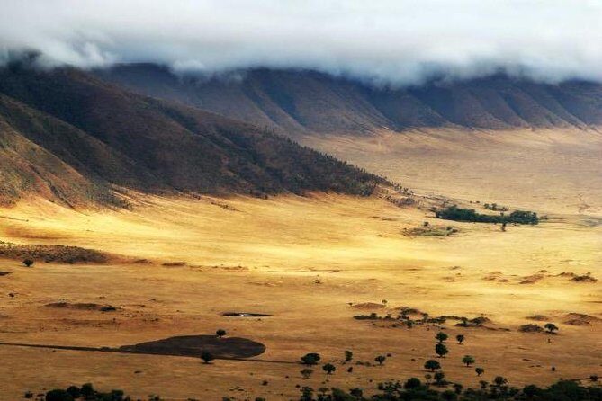 6 Days 5 Nights lodge safari Tarangire, Manyara, Serengeti & Ngorongoro Crater - Day 2: Lake Manyara’s Acacia Forest, Hippo Lake, and Birding Wins