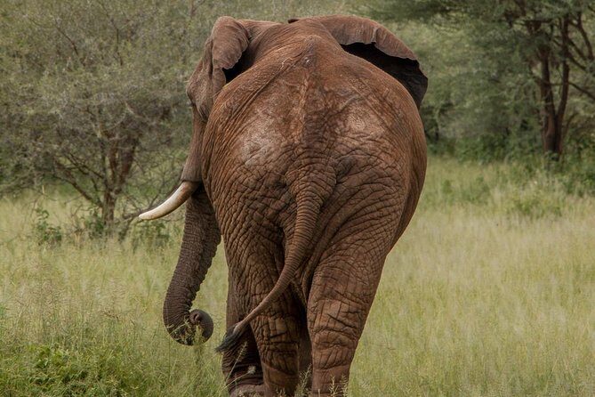 6 Days - Best of Nothern Parks Safari - The route: four northern parks without the wasted days