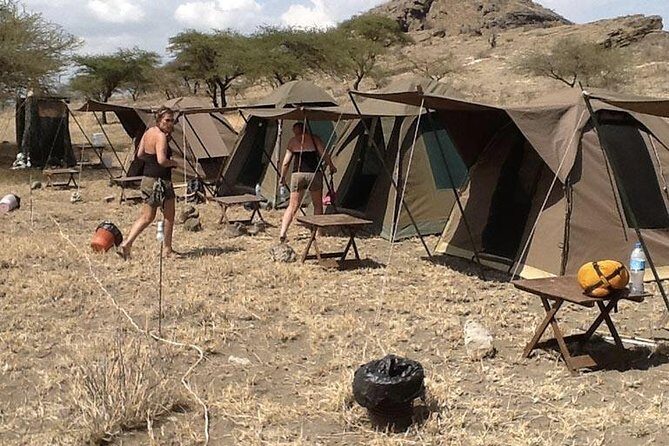 6 Days Budget Tanzania Camping Safari - Serengeti afternoon into sunset: the “start strong” strategy