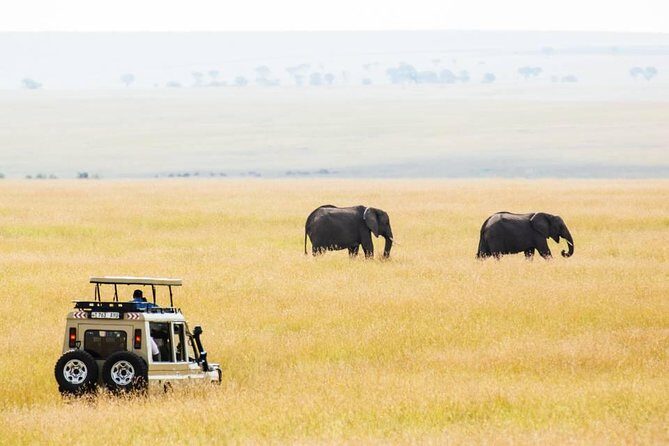 6 Days Budget Tanzania Camping Safari - Lake Manyara full day: longer time on game roads