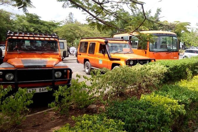6 Days Climb Kilimanjaro Through Marangu Route - Marangu Route: Why These Huts Make Kilimanjaro Feel More Realistic