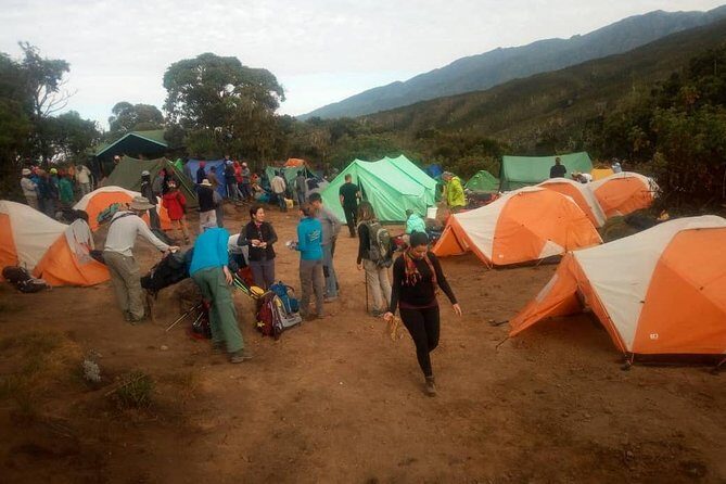 6 Days Climb Kilimanjaro Through Marangu Route - Price and Value: What the $1,899 Includes (and the Gaps to Plan For)