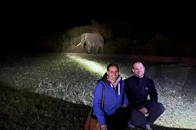 6 Days Essence of Tanzania Wildlife Safari - Logistics you should plan for (without letting them steal your safari)