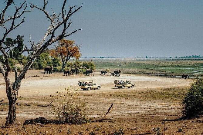 6 Days in the Wild – A Budget Safari Across Tanzania’s Icons - Day 4 Ngorongoro Crater: Maasai Boma First, Then the Crater Theatre