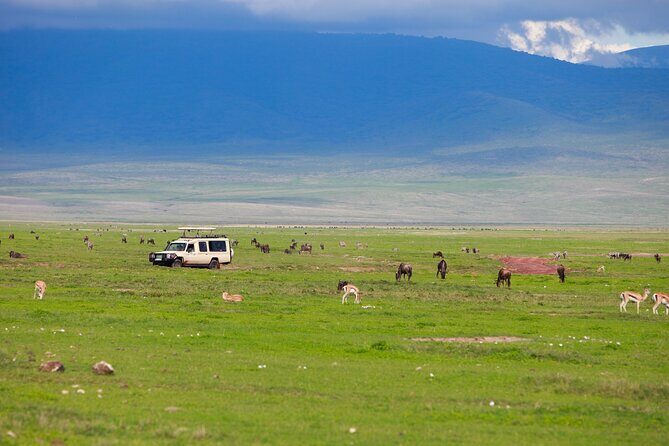 6 Days in the Wild – A Budget Safari Across Tanzania’s Icons - Day 6 Chemka Hot Springs and Materuni Waterfalls: The Reset Button