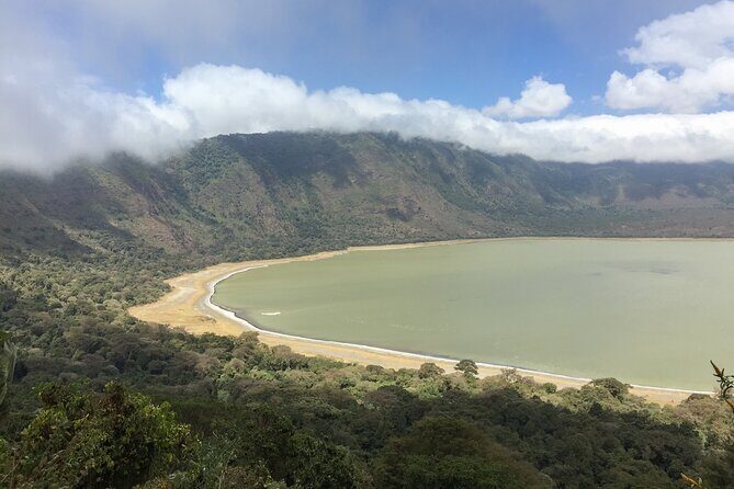 6 Days in the Wild – A Budget Safari Across Tanzania’s Icons - Day 1 in Tarangire: Elephant Herds and River-Driven Wildlife