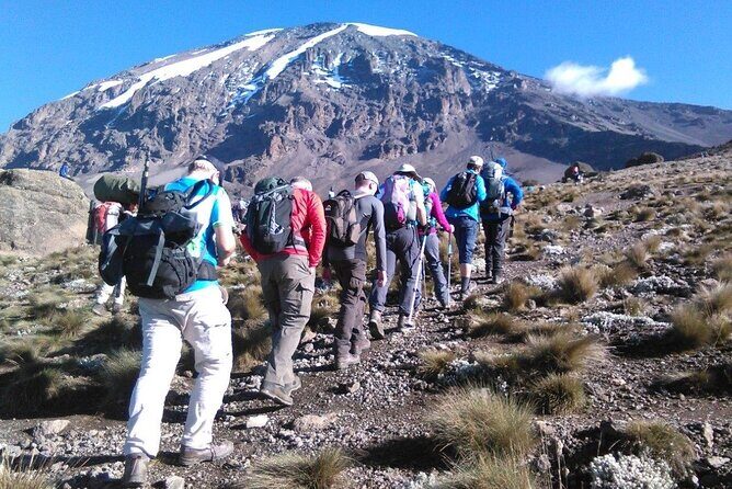 6 Days Kilimanjaro Climbing Machame route - Day 3: The acclimatization day that sets up Barranco Camp’s best scenery