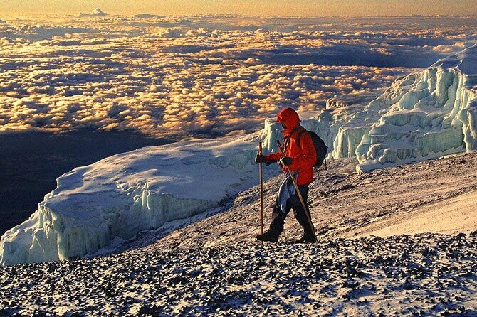 6 Days Kilimanjaro Climbing Machame route - Day 6: Cloud forest descent to Mweka Gate and the ride back toward Moshi