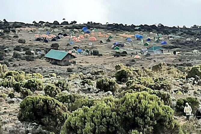 6 days Kilimanjaro Climbing Machame Route in Tanzania - Machame Route: Why the Whisky Route Fits the Adventurous (and the Tired)