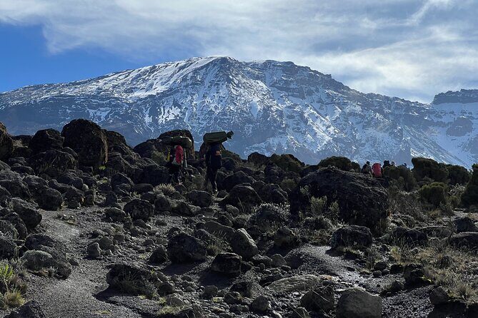 6 Days Kilimanjaro Climbing Marangu Route - Marangu Route on Kilimanjaro: huts, pace, and the famous “Coca-Cola” nickname