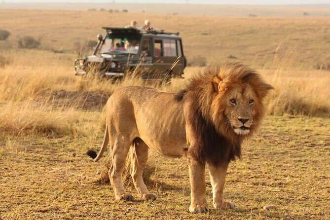 6 Days lodge &camping tour Serengeti ,Tarangire ,Ngorongoro Crater and Manyara - Key highlights