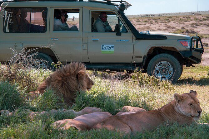 6 Days Lodge & Tented Camp Luxury - The Serengeti Trail & Tarangire - Day 1 in Arusha: use the calm day to set up the adventure