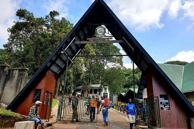 6 Days Machame Route Hike - Day 1 from Machame Gate to Machame Camp: rainforest hiking and slippery footing