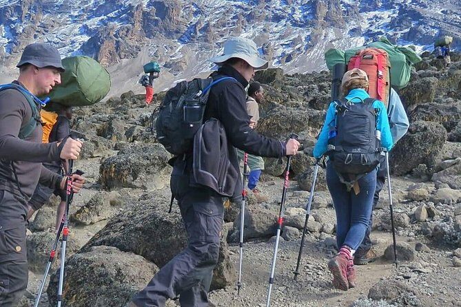 6 Days Machame Route Hike - The descent switch: Mweka trail and your final mountain nights