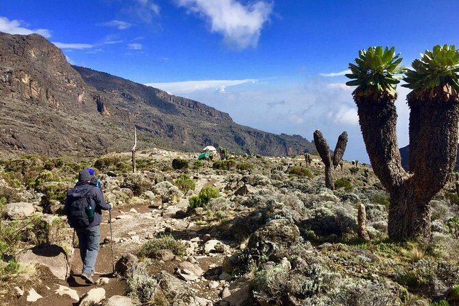 6 Days Machame Route Kilimanjaro Trekking - Value and Price: What $1,930.42 Covers (and What It Doesn’t)