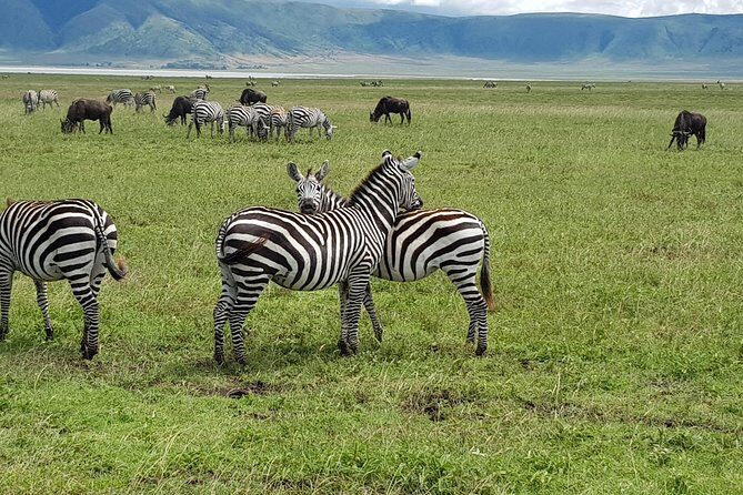 6 Days Mara River Crossing - The Great Migration - The Great Migration, Mara River Style