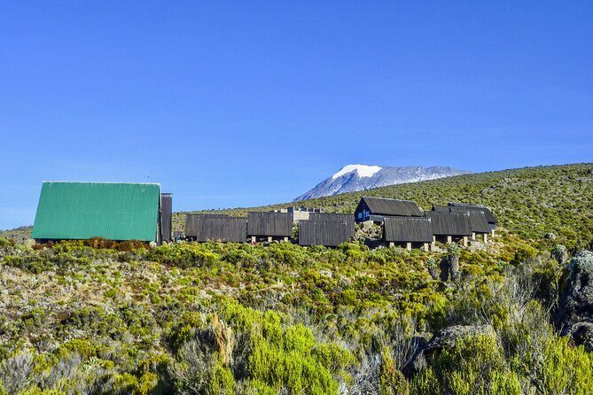 6 Days MARANGU ROUTE (Kilimanjaro Trekk) - Summit Push Support: The Part That Keeps You Moving